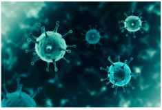 Drug Target Review | 筛选用于抗COVID-19的抗病毒化合物