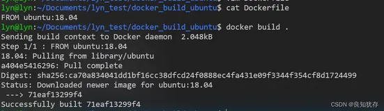 Docker进阶-Dockerfile建立一个自定义的镜像执行自定义进程