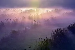 上手体验！如何借助龙蜥实验室快速部署 Web 应用？