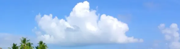 【号外】-温习如何画E-R图