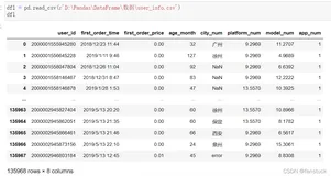 DataFrame行列表查询操作详解+代码实战