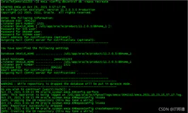 Oracle 11G 手动创建EMDC
