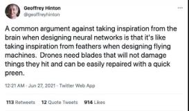 大脑飞行是啥？Hinton推特引热议，神经网络是让小鸟飞起来的「羽毛」？（一）