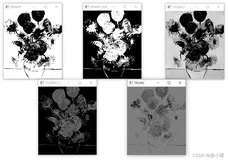 基于梵·高《向日葵》的 图像阈值处理专题（二值处理、反二值处理、截断处理、自适应处理及Otsu方法）【Python-Open_CV系列（六）】（下）