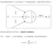 今日机器学习概念：感知机模型