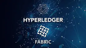Hyperledger Fabric 2.x Java区块链应用