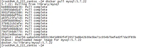 centos7下用docker来搭建discuz论坛