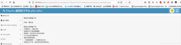 网络安全-SSRF漏洞原理、攻击与防御