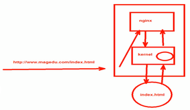 nginx 介绍及安装