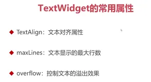 Flutter 之TextWidget