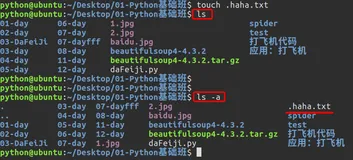 Linux基础命令——ls命令选项