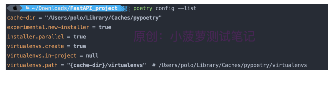 Python - poetry（3）配置项详解