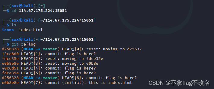利用git reflog解决Bugku web source的.git源码泄露挑战-开发者社区-阿里云