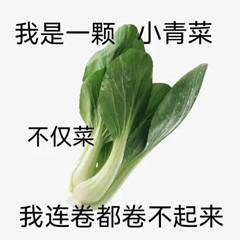 分布式服务框架----zookeeper
