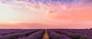 Seata-golang grpc 通信版本与 Transaction Mesh