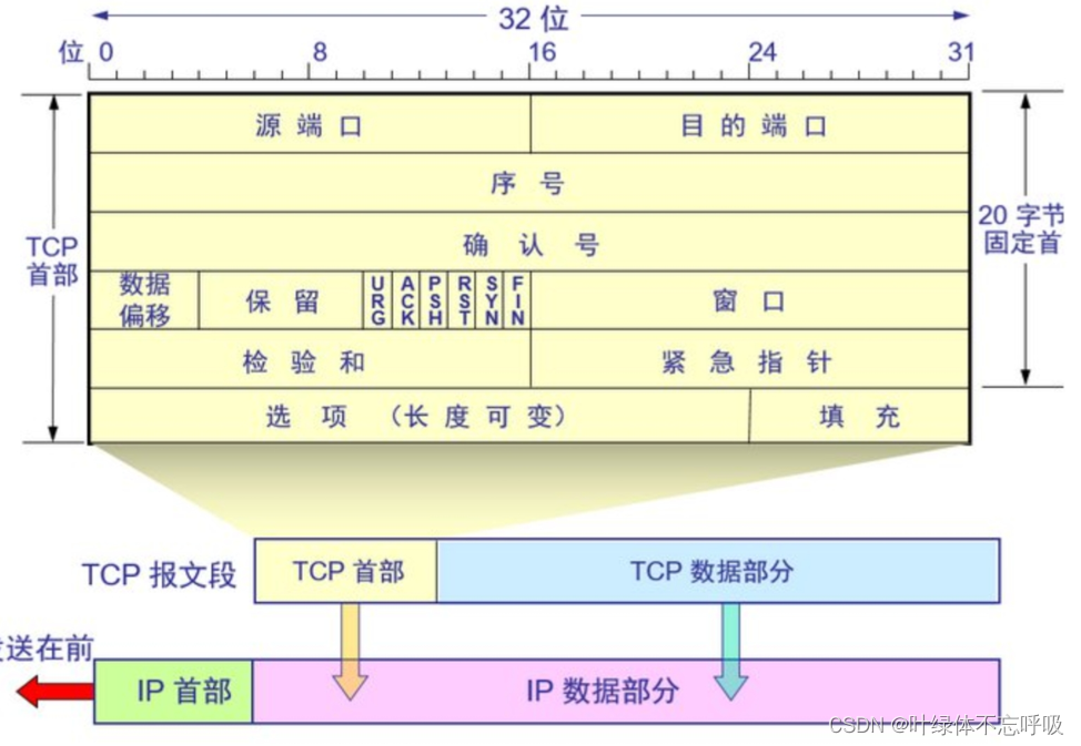 TCP和UDP协议（深信服X计划）
