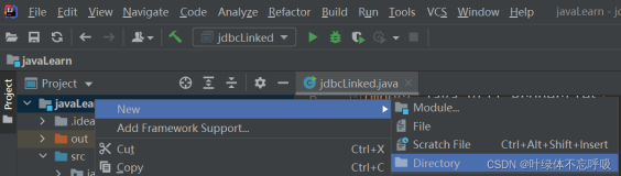 新年迈出Java后台服务器与数据库交互第一步&2022最新通用Java8&jdbc8连接mysql8数据库进行增删改查等基本操作详解（IDEA），jar包导入，图片等文件流，批量操作