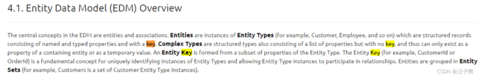 OData metadata 定义中，entity type key 的作用是什么