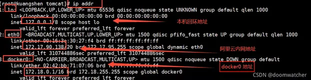 docker：了解docker网络和自定义docker网卡