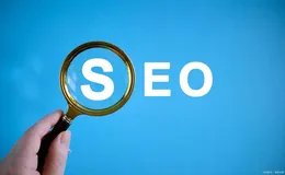 蜘蛛池是干嘛的怎样搭建蜘蛛池？