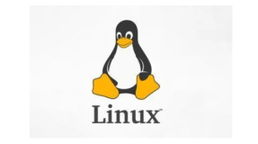 嵌入式 Linux 入门（三、Linux Shell 及常用命令说明）