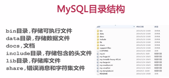 MySQL基础知识