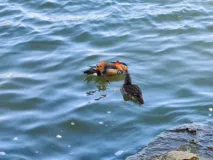 java基础之控制流程迭代语句