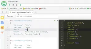Elasticsearch 实现数据的存储和检索|学习笔记