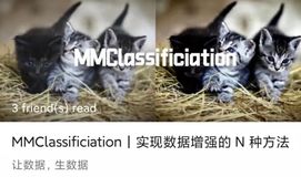 一张图的一百种 “活” 法 | MMClassification 数据增强介绍第二弹