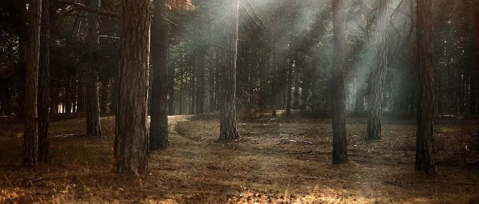 使用 @Autowired 为什么会被 IDEA 警告，应该怎么修改最佳？