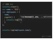 前端知识案例60-javascript基础语法-省略key