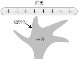 微信图片_20211126184910.jpg