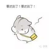 漫画算法：辗转相除法是什么鬼？