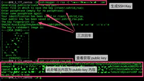 全面概述Gitee和GitHub生成/添加SSH公钥 