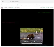 FastAPI（51）- 自定义响应之 StreamingResponse、FileResponse