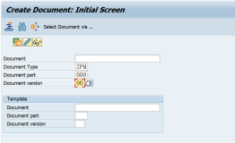 SAP MM 物料主数据的Document Data