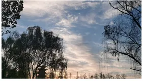 「后端小伙伴来学前端了」Vue中全局事件总线（GlobalEventBus）原理及探究过程