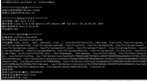 .NET Core获取程序运行行环境信息与反射的应用