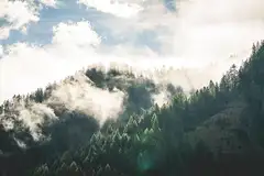 spring中的Bean标签详解