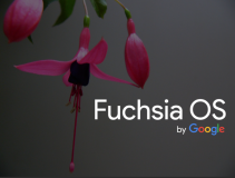 谷歌 Fuchsia OS 操作系统开发总监离职！ Android “继任者”前途未卜