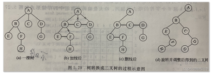 【数据结构】树与森林（一）