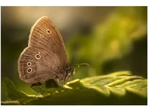 看山聊Java：开始使用 Java8 中的时间类