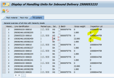 SAP QM 内向交货单包装的时候触发的检验批不能被自动取消？