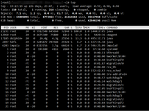 Linux 命令详解 - top