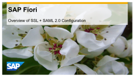 SAP Fiori SSL 和 SAML 2.0 配置文档