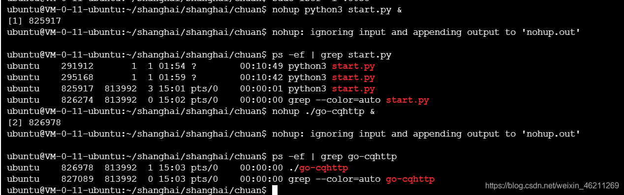 linux服务器上运行python文件