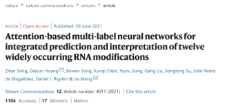 Nat.Commun.|使用基于注意力机制的多标签神经网络预测并解释12种RNA修饰