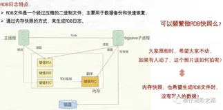 ETCD教程-4.深入ETCD