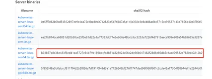 Kubernetes CKS 2021【7】---Cluster Setup - Verify Platform
