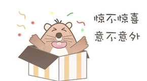 意外之惊喜！浏览器缓存优化方案，让页面加载速度飙升48.5%！